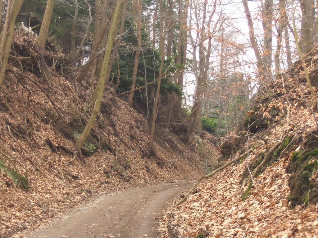 Linden-Jachthoorn Lägenhet Lubbeek Rum bild