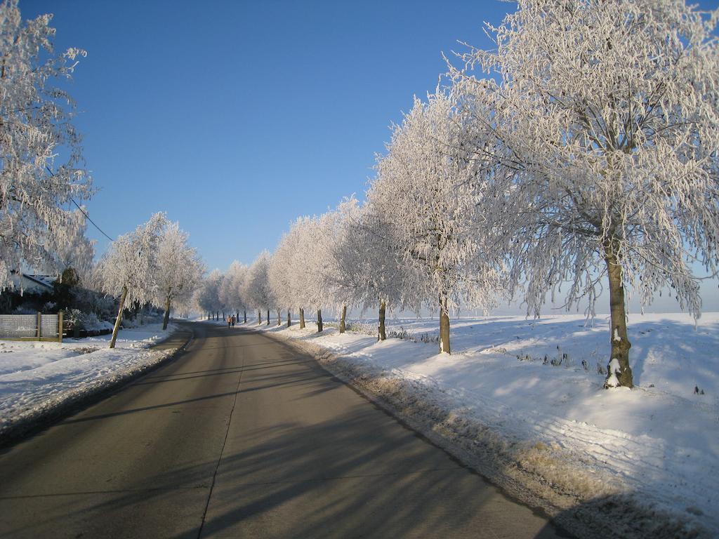 Linden-Jachthoorn Lägenhet Lubbeek Rum bild