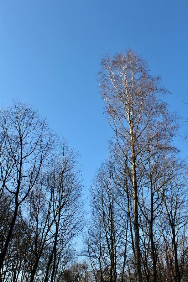 Linden-Jachthoorn Lägenhet Lubbeek Exteriör bild